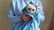 A woman wipes after bathing, a funny white British cat , wrapped in a blue towel