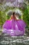 Woman wisteria lilac dress. Thoughtful happy mature woman in pur