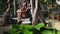 Woman on wooden swing tropical beachshore resort