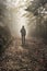 Woman in the woods. tourist walking in the misty autumn forest