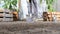 Woman work in vegetable garden digging spring soil with shovel, near wooden boxes full sweet pepper plants