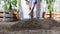 Woman work in vegetable garden digging spring soil with shovel, near wooden boxes full sweet pepper plants