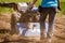 Woman worker driving rototiller tractor unit preparing soil on o