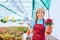 Woman worker in a greenhouse holds out a pot wi poinsettia