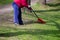 A woman worker sweeps paths and lawns from garbage with a red fan-shaped rake in Gatchina Park. seasonal work. reportage