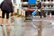 Woman worker using scrubber machine for cleaning polishing concrete floor.