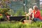 Woman working on allotment with child