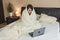 woman working in bed on laptop covered with blanket