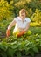 Woman working in field of beans