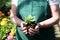 Woman working in a nursery - Greenhouse with colourful flowers