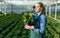 Woman working with poinsettia