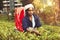 Woman working on Sri Lankan tea plantation