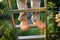 Woman working standing on staircase in domestic garden at summer day. Gardening