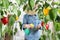 Woman working in vegetable garden spray pesticide on the green leaves of sweet peppers lush plants, take care plant growth