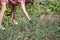 Woman works on the farm. under the scorching sun. land manual labor. Gardening