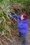 A woman works with a hedge trimmer