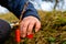 Woman wraps a graft tree with an insulating tape in the garden to detain the damp in it in close-up