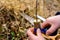 Woman wraps a graft tree with an insulating tape in the garden to detain the damp in it in close-up