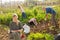 Woman writes message on smartphone while family is working on field