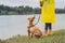 Woman in yellow raincoat and shoes walks the dog in rain at urban park near lake. Young female person and pitbull terrier puppy s