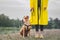 Woman in yellow raincoat and shoes walks the dog in rain at urban park near lake. Young female person and pitbull terrier puppy s