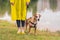 Woman in yellow raincoat and shoes walks the dog in rain at urban park near lake. Young female person and pitbull terrier puppy s