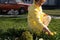 Woman in yellow shirt picks a flower from a flowerbed, old retro car and two samoyed puppys on the background