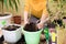 a woman in a yellow sweater transplanting houseplants  spraying homemade flowers with a spray gun. fertilizers for flowers in
