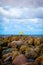 A woman in a yellow winter jacket walking on a rocky Ainazi pier dividing Latvia and Estonia by the Baltic Sea