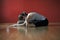 Woman In A Yoga Studio Practicing Restorative Asana