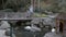 A woman with a young daughter walking in the Park watching a white Swan swimming in the lake.