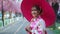 Woman in yukata (kimono dress) holding umbrella and looking sakura flower or cherry blossom blooming in garden