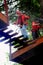 Woman on Zipline Floating Bridge