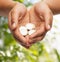 Womans cupped hands showing euro coins