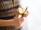 A womans elegant hands holding a knife and cutting an apple