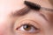 Womans eyebrows. Beautiful girl with eyebrow brush. Girl with natural make up. Eyebrow correction. Macro close up of