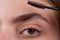 Womans eyebrows. Beautiful girl with eyebrow brush. Girl with natural make up. Eyebrow correction. Macro close up of