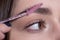 Womans eyebrows. Macro close up of brows. Beautiful girl with eyebrow brush. Girl with natural make up. Eyebrow
