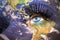 Womans face with planet Earth texture and honduran flag inside the eye