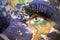 Womans face with planet Earth texture and kurdistan flag inside the eye