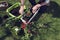 Womans hand in gloves planting pelargonium and ipomoea