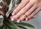 Womans hand with nude beige pink nail design on houseplant background