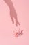 Womans hand shadow touches natural flower on pink flat lay.