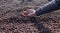 womans hand sorting dried coffee beans