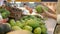 Womans hands choosing the fresh mangoes in the supermarket