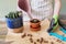 Womans hands in gloves planting young cactus plant in pot