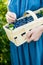 Womans hands holding a basket with blueberries. Picking fresh berries on organic blueberry farm on warm and sunny summer day.