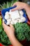 Womans hands holding mushrooms