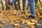 Womans leg kicks yellow autumn leaves from the ground in the park