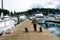 WomanWoman walks her two dogs on dock of harbor